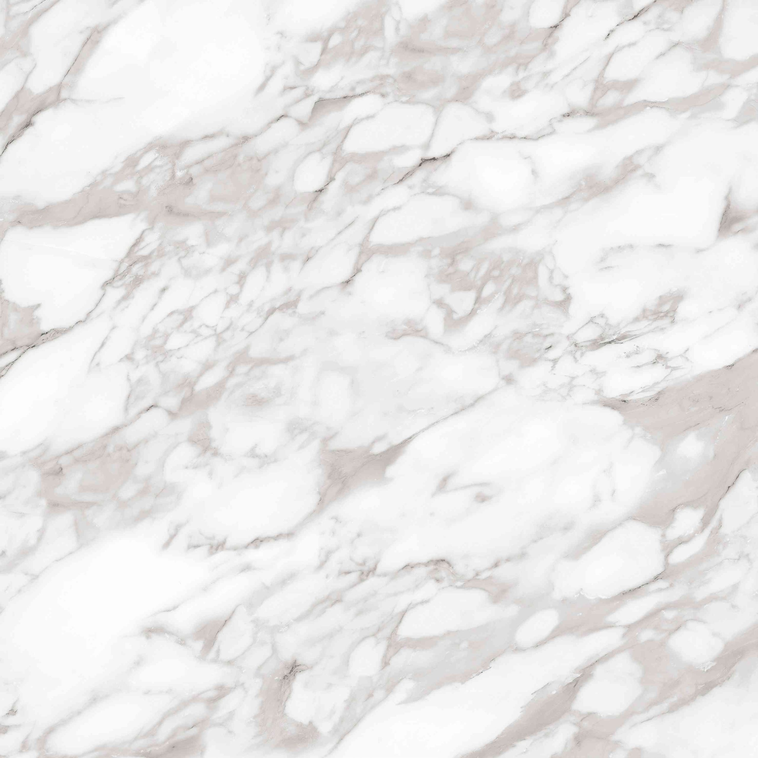 Carrara Grigio 120x120