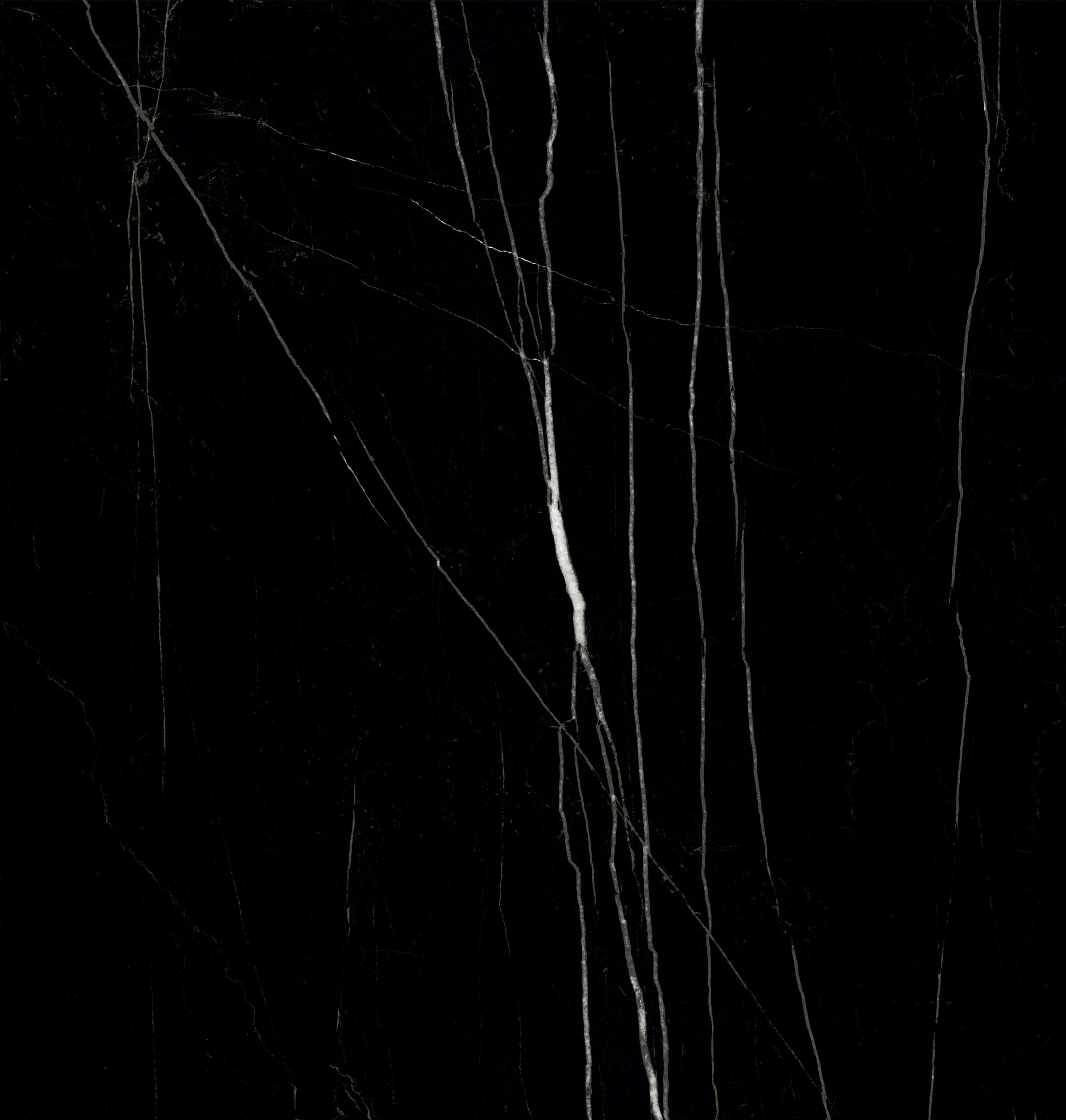 Century Black 60 X 60