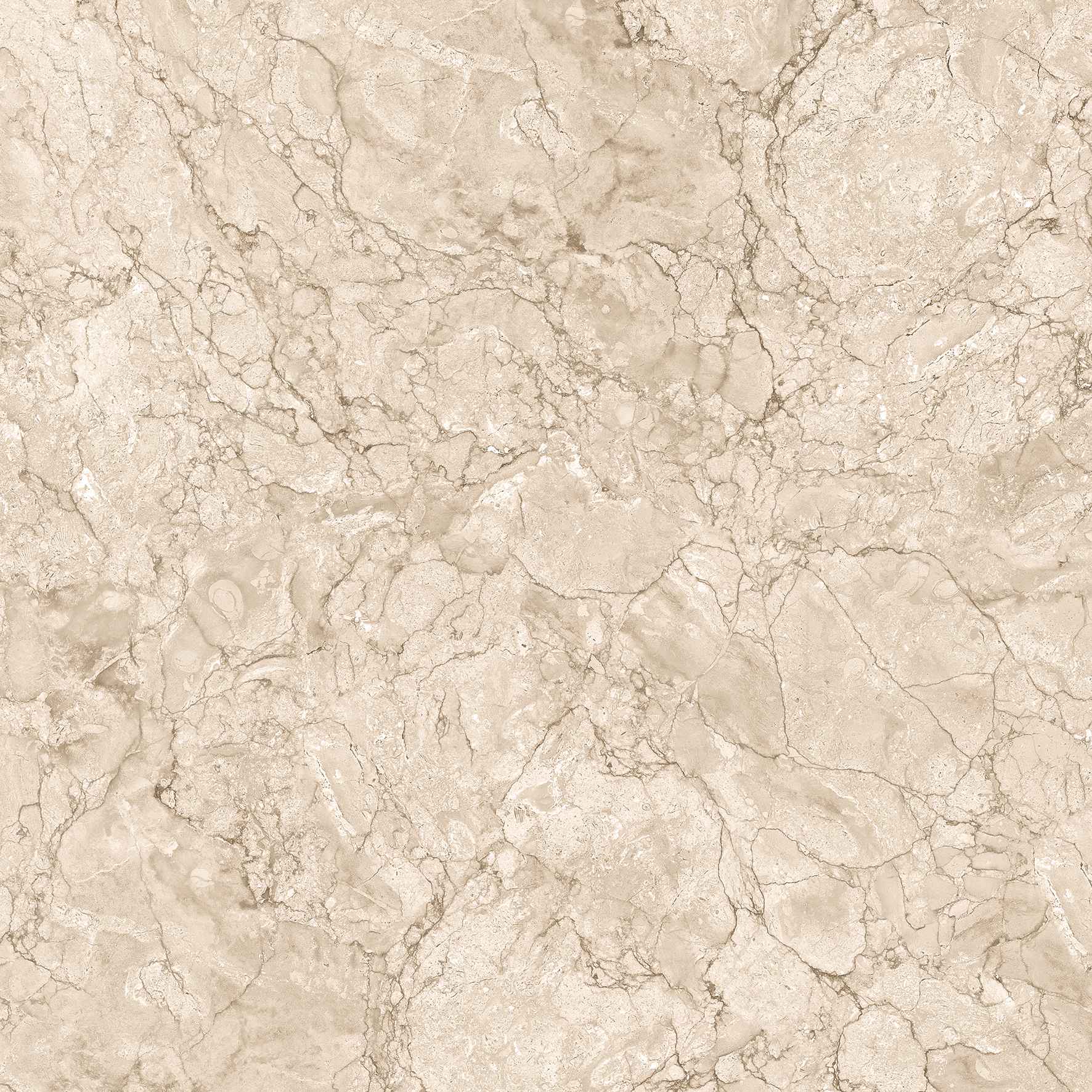 Rodman : Cream,Brown,Grey 60x60